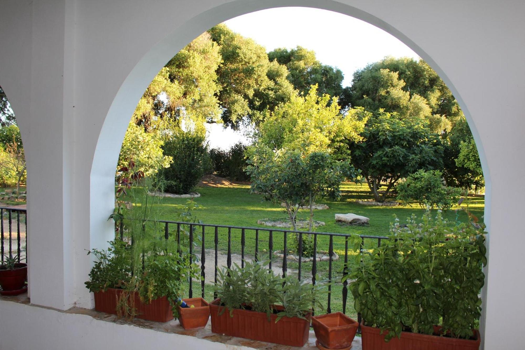 Cortijo El Indiviso Guest House Vejer de la Frontera Room photo