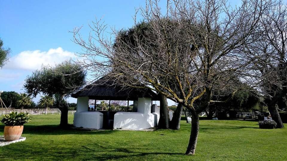 Cortijo El Indiviso Guest House Vejer de la Frontera Exterior photo